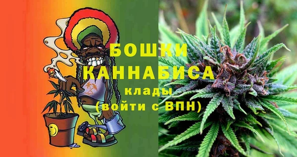 дурь Нягань