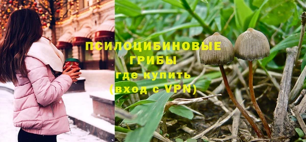 mix Няндома